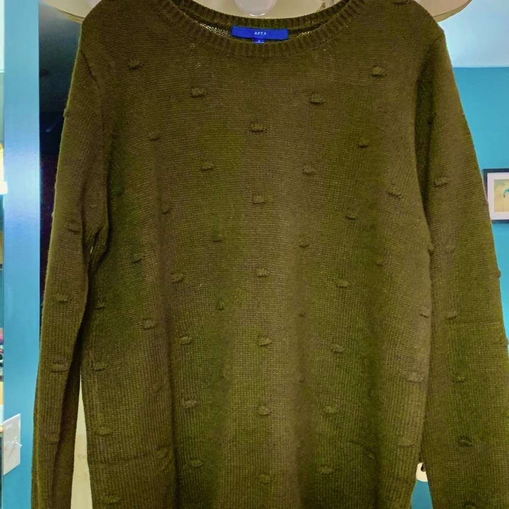 NWT L Women’s sweater olive green knit crew top shirt